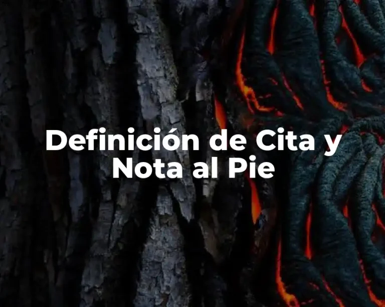 Definición de Cita y Nota al Pie