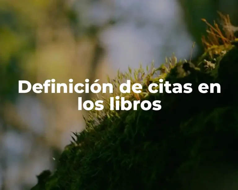 Definición de citas en los libros