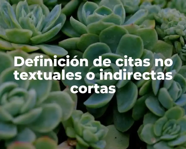 Definición de citas no textuales o indirectas cortas