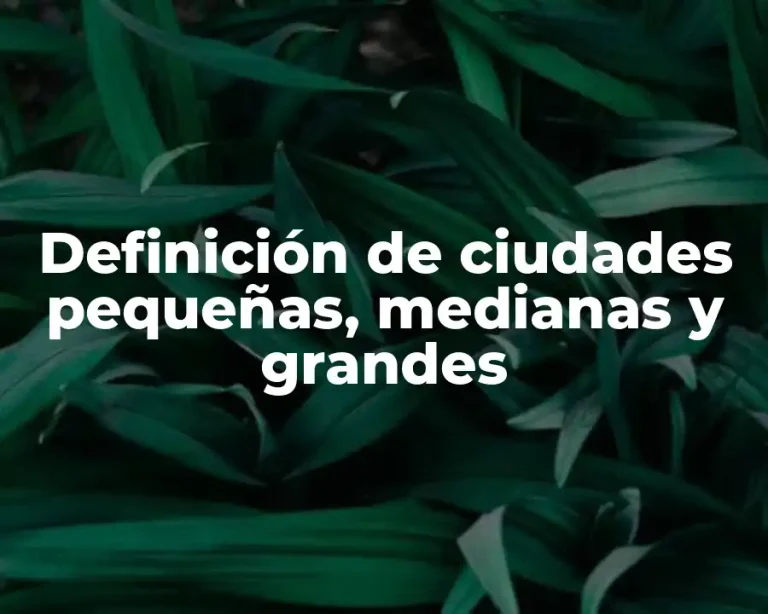 Definición de ciudades pequeñas, medianas y grandes