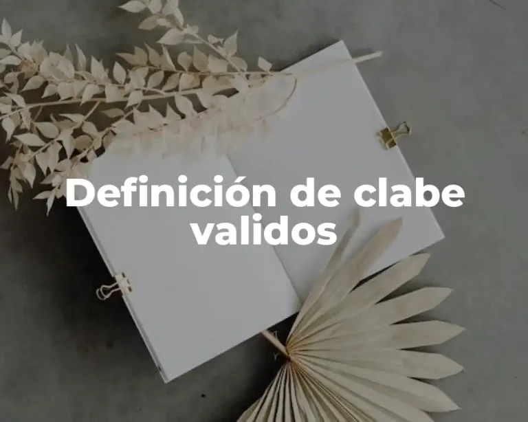 Definición de clabe validos