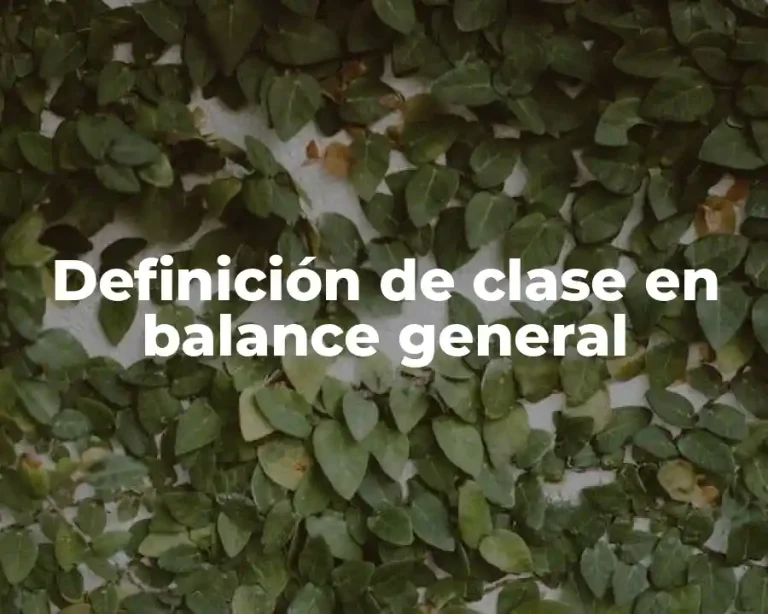 Definición de clase en balance general
