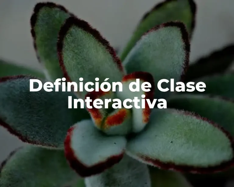 Definición de Clase Interactiva