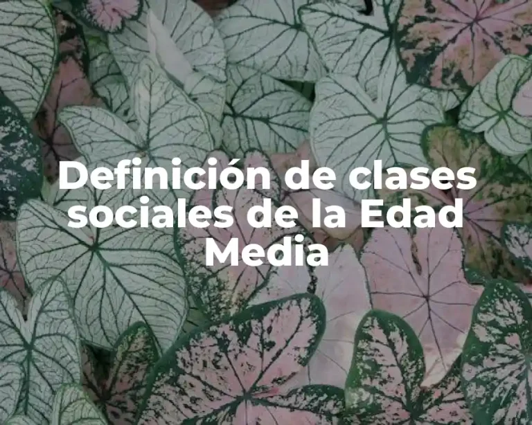 Definición de clases sociales de la Edad Media