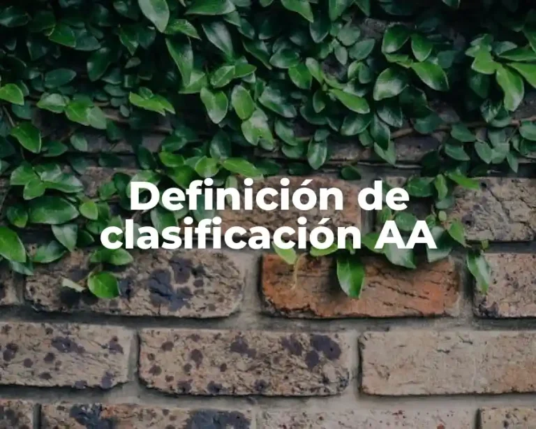 Definición de clasificación AA