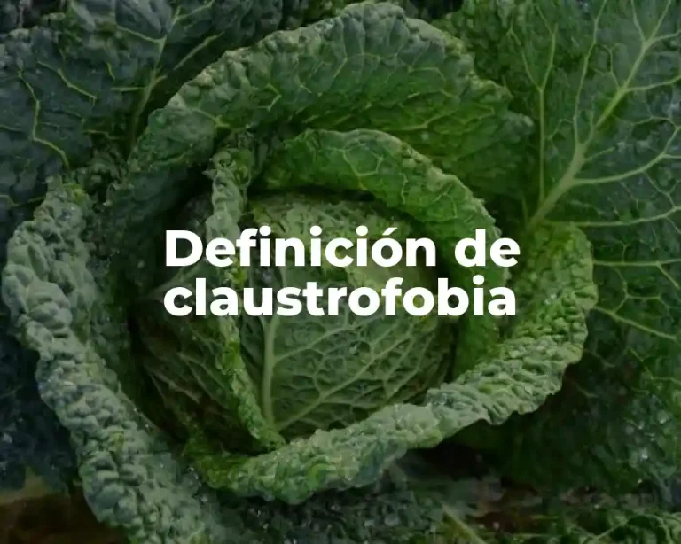 Definición de claustrofobia