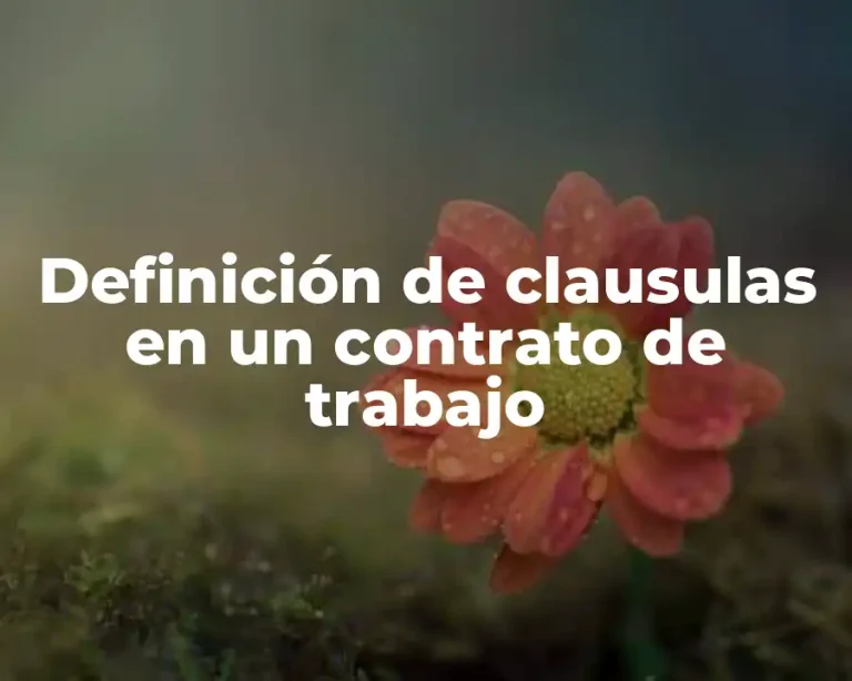 Definición de clausulas en un contrato de trabajo