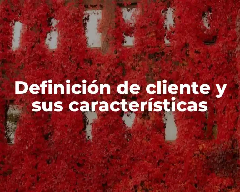 Definición de cliente y sus características
