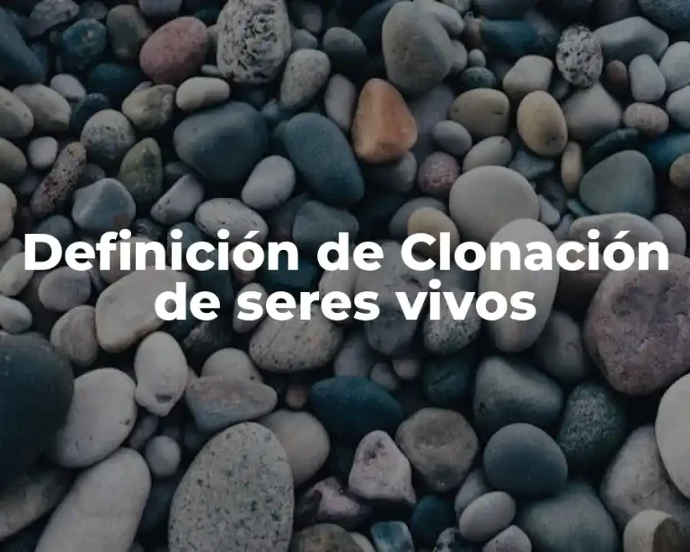 Definición de Clonación de seres vivos