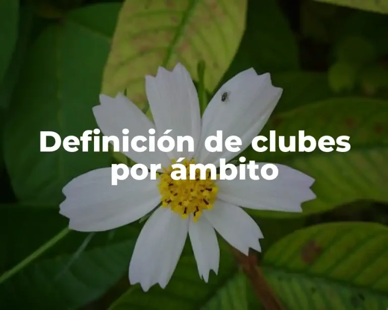 Definición de clubes por ámbito