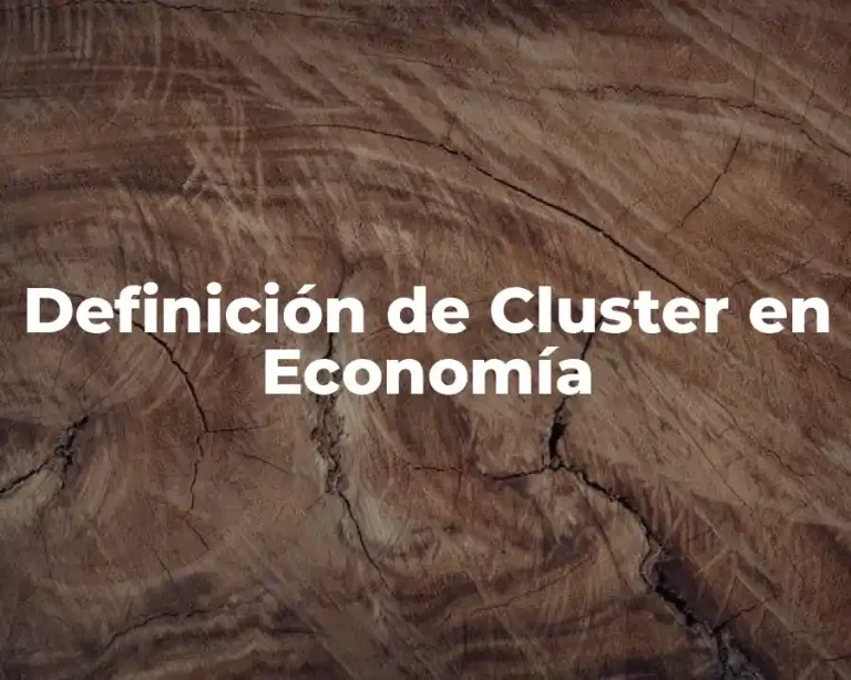 Definición de Cluster en Economía