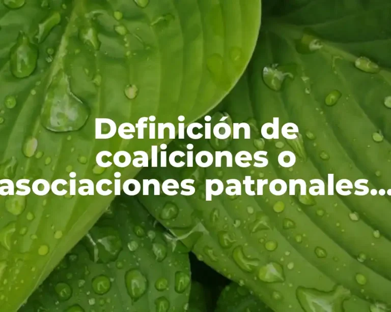 Definición de coaliciones o asociaciones patronales en México