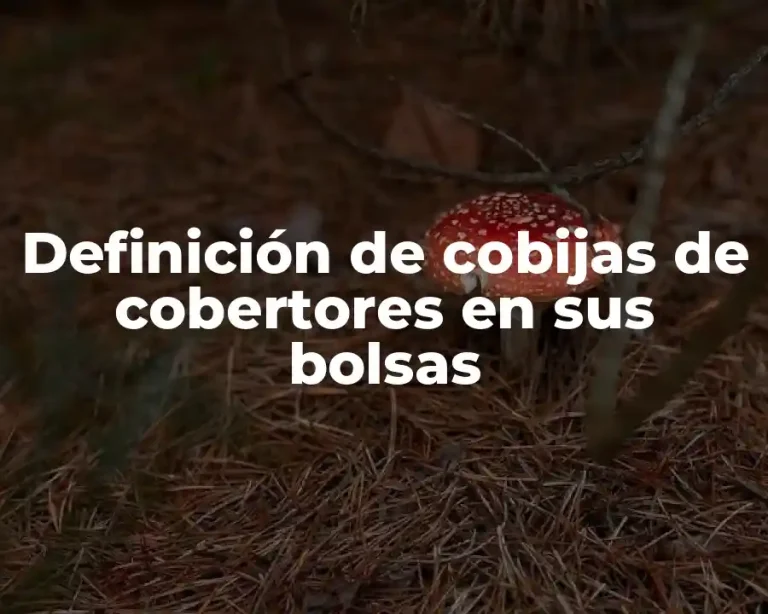 Definición de cobijas de cobertores en sus bolsas