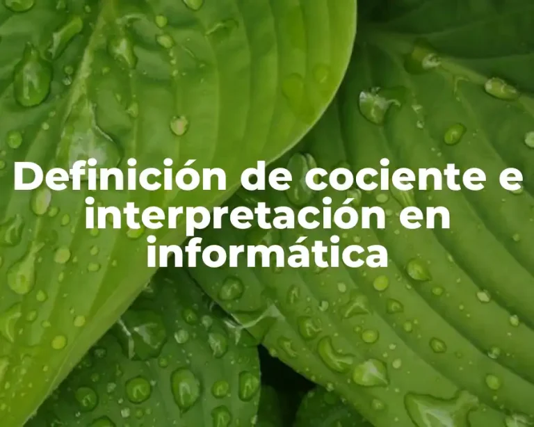 Definición de cociente e interpretación en informática