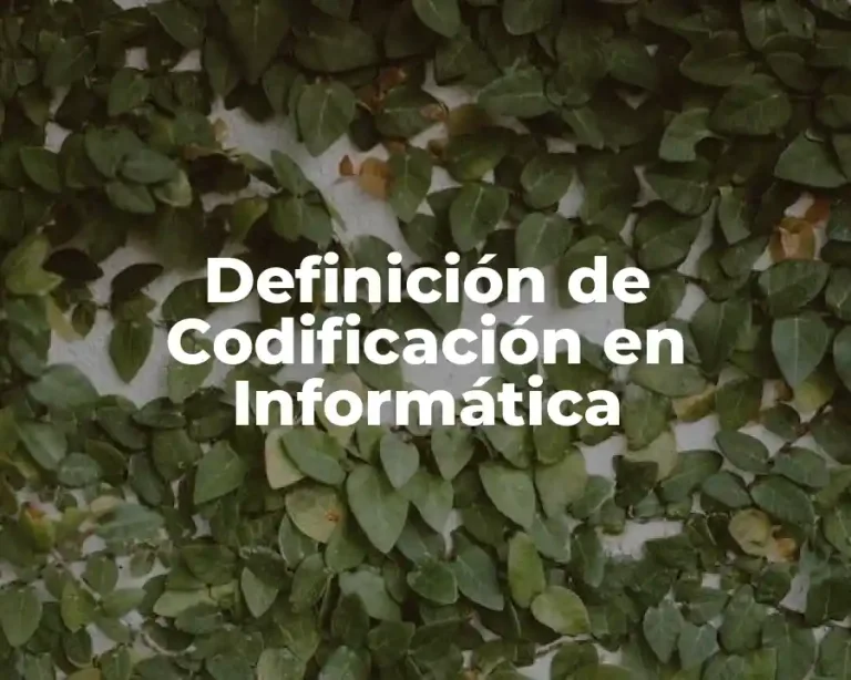 Definición de Codificación en Informática