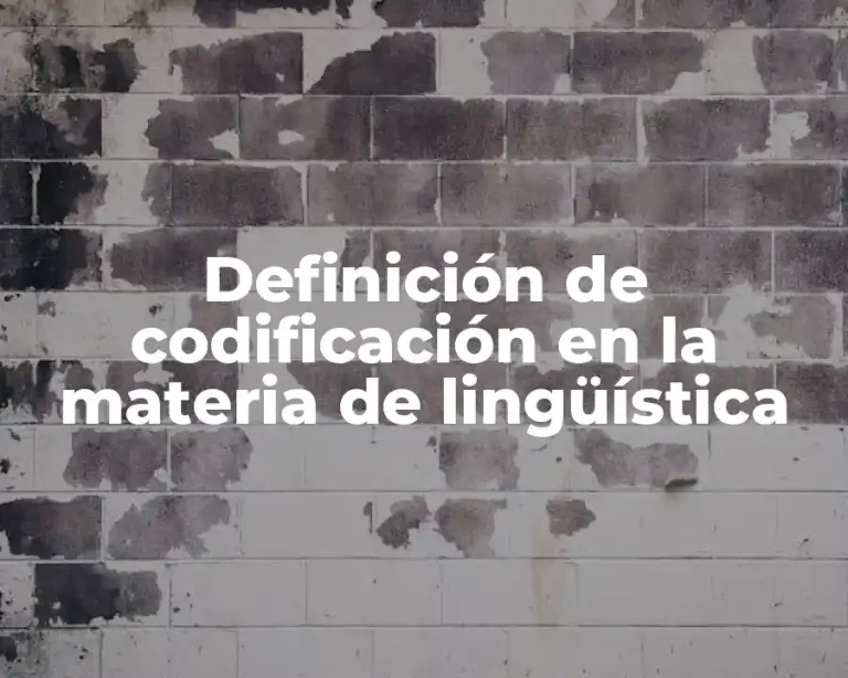 Definición de codificación en la materia de lingüística