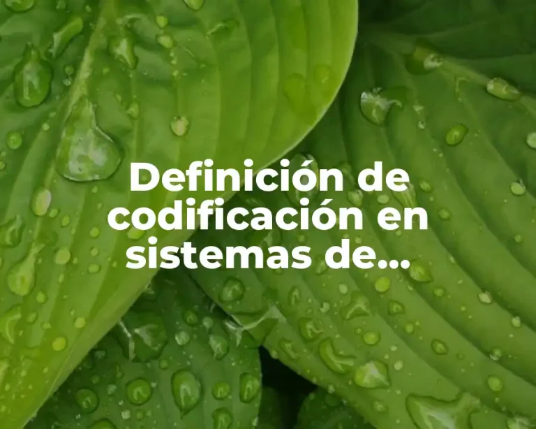 Definición de codificación en sistemas de información