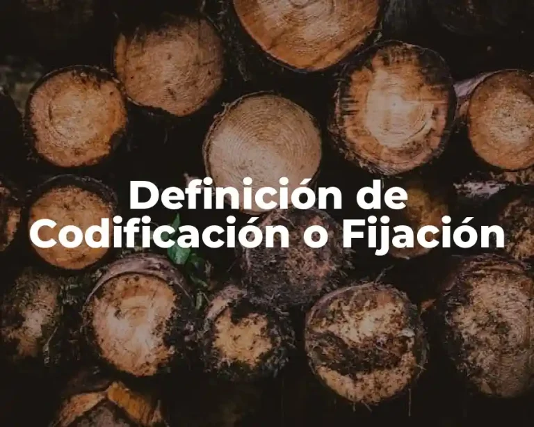 Definición de Codificación o Fijación
