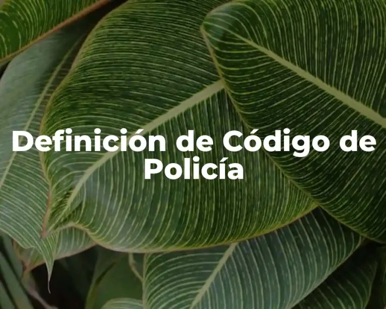 Definición de Código de Policía