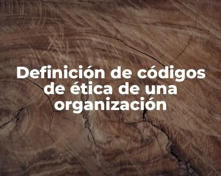 Definición de códigos de ética de una organización