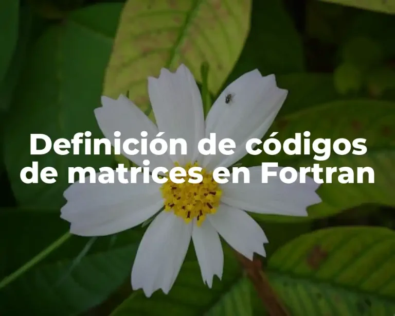 Definición de códigos de matrices en Fortran