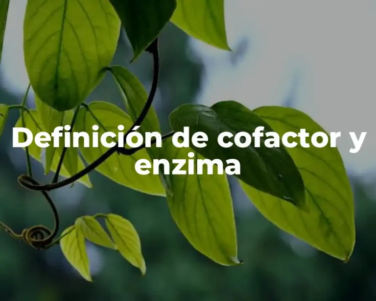 Definición de cofactor y enzima