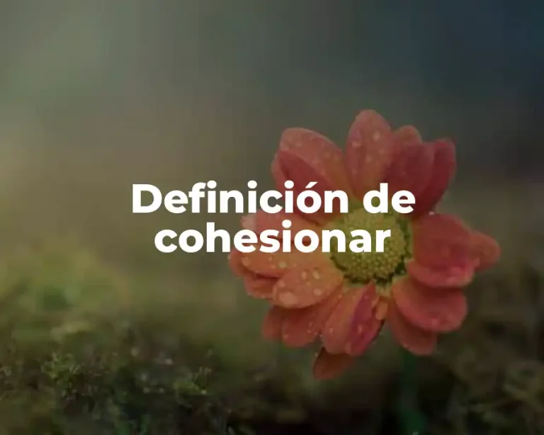 Definición de cohesionar