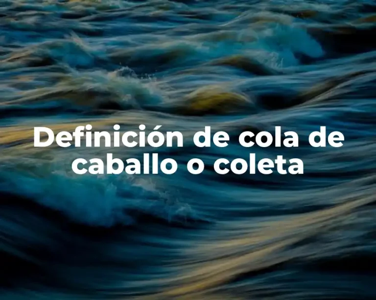 Definición de cola de caballo o coleta