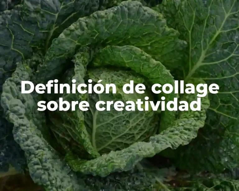Definición de collage sobre creatividad
