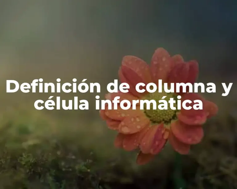 Definición de columna y célula informática