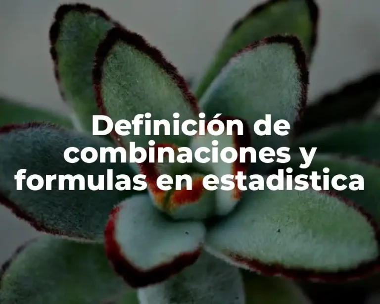Definición de combinaciones y formulas en estadistica