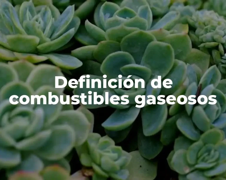 Definición de combustibles gaseosos