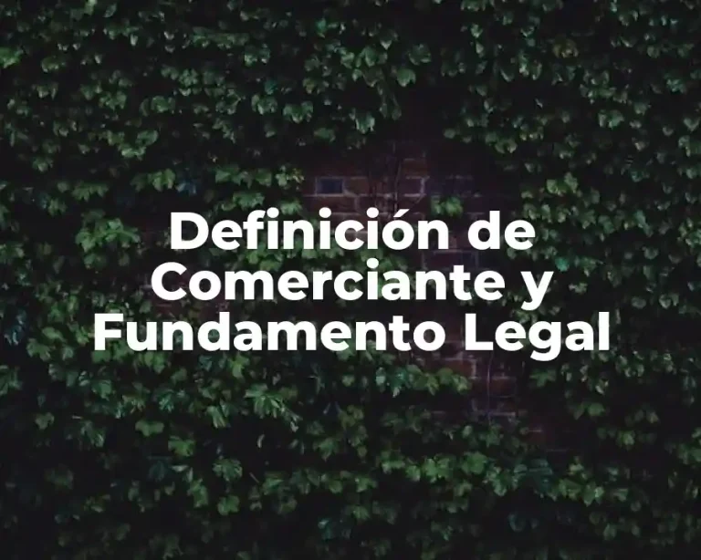 Definición de Comerciante y Fundamento Legal