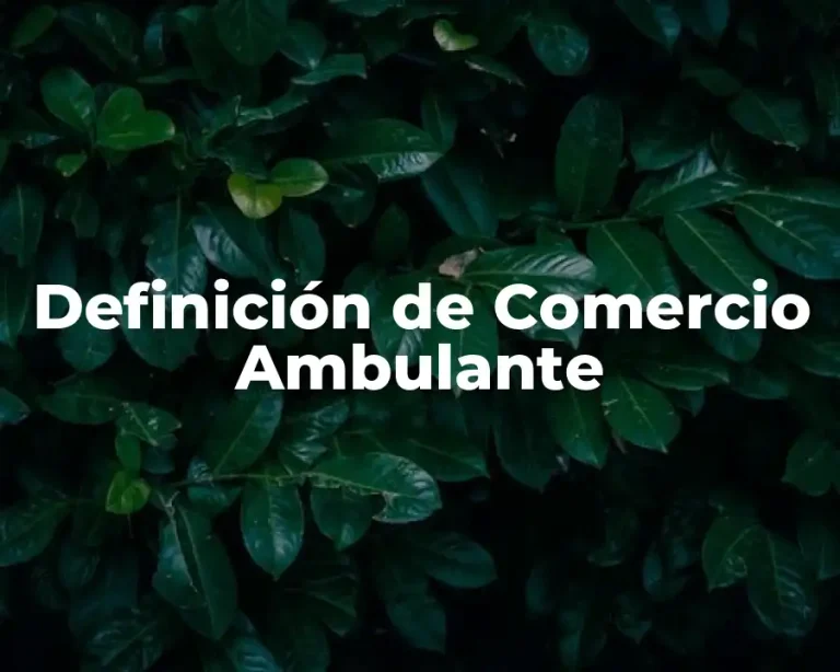 Definición de Comercio Ambulante