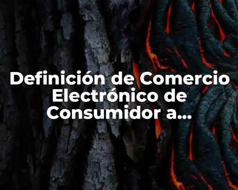 Definición de Comercio Electrónico de Consumidor a Consumidor