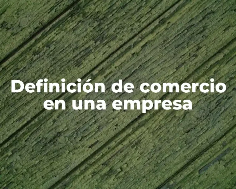 Definición de comercio en una empresa