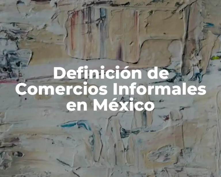 Definición de Comercios Informales en México