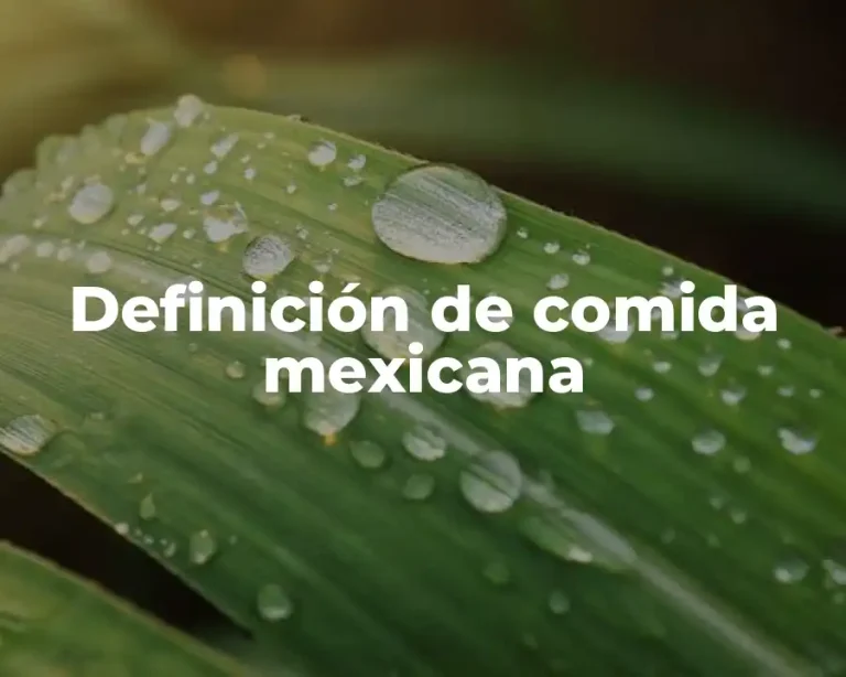 Definición de comida mexicana