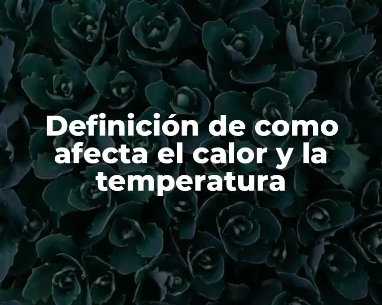 Definición de como afecta el calor y la temperatura