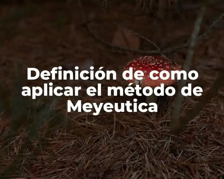Definición de como aplicar el método de Meyeutica