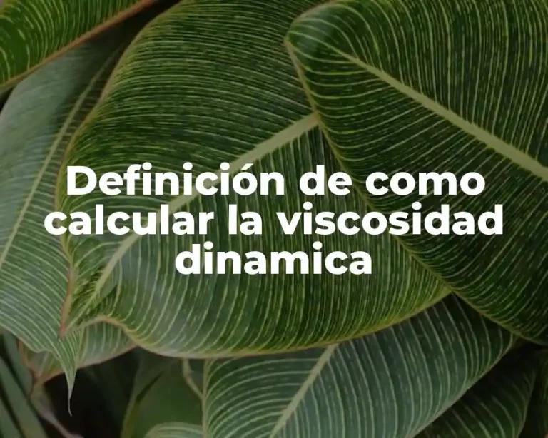 Definición de como calcular la viscosidad dinamica