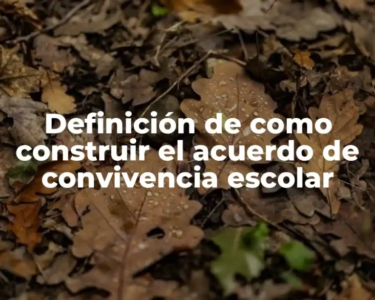Definición de como construir el acuerdo de convivencia escolar