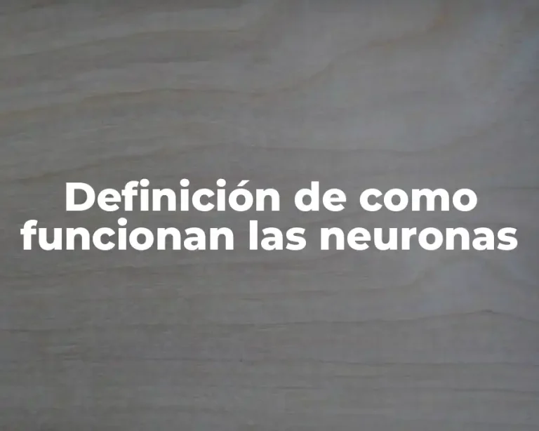 Definición de como funcionan las neuronas