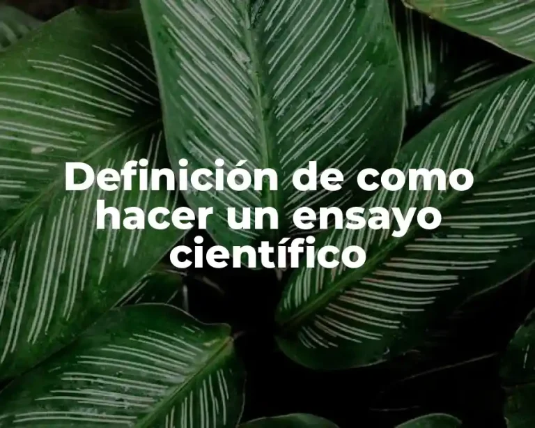 Definición de como hacer un ensayo científico