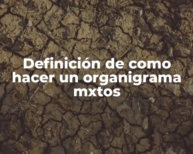 Definición de como hacer un organigrama mxtos