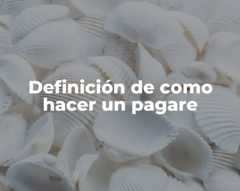 Definición de como hacer un pagare