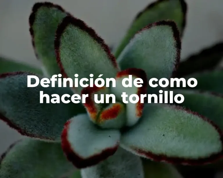 Definición de como hacer un tornillo