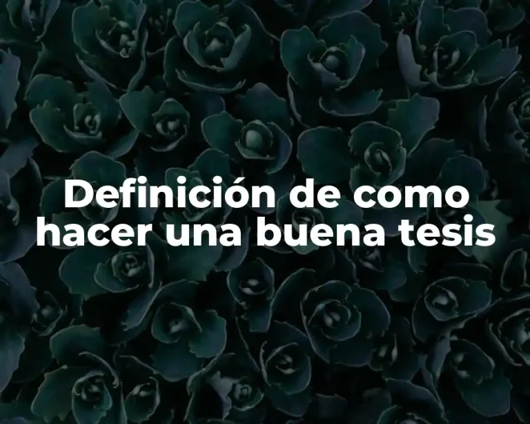 Definición de como hacer una buena tesis