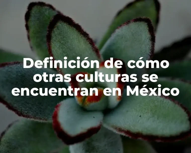 Definición de cómo otras culturas se encuentran en México