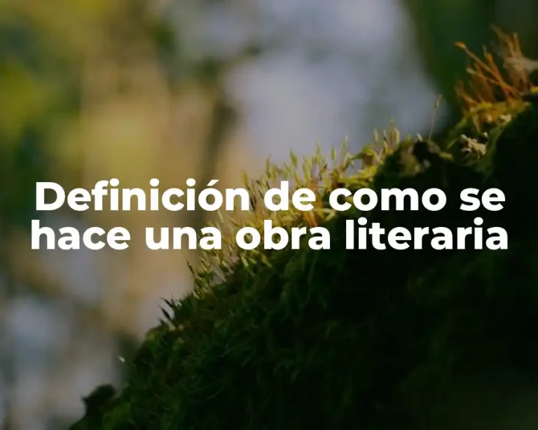 Definición de como se hace una obra literaria